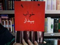 خواب و بیدار (مهناز صیدی)