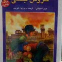 خروس جنگی (جری اسپینلی . پروین علی پور)