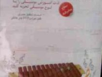 آموزش ساز ارف کودکان
