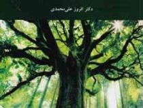 اکولوژی جنگل (افروز علی محمدی)