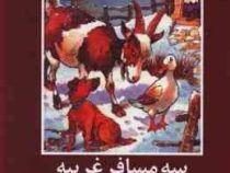 ادبیات داستانی جهان برای نوجوانان: سه مسافر غریبه (انید بلایتن، فرح پرنده طوسی)