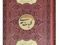 کلیات سعدی وزیری تحریر چرم جعبه دار نفیس پلاک دایره طلایی (پیام عدالت 126136)