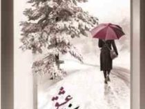 می نویسم زن بخوان عشق (مژده قزلباش )
