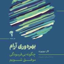 بهره وری آرام : چگونه بی فرسودگی موفق شویم (کال نیوپورت.امیرعلی ابراهیم زاده)