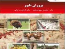 پرورش طیور