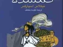 عشق گمشده (نیکلاس اسپارکس . نفسیه معتکف)