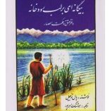بیگانه ای بر لب رودخانه : دفتر عشق و حکمت اعصار( پال تو ئیچل . هوشنگ اهر پور )
