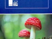 قلم چی مجموعه ی طبقه بندی شده زیست شناسی پایه (دوم و سوم دبیرستان) 97-96