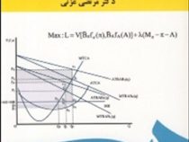 اقتصاد خرد (3) : تحلیل رفتارهای اقتصادی در چارچوب اسلامی (مرتضی عزتی)