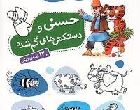 حسنی و دستکش های گم شده و 12 قصه ی دیگر (مژگان شیخی . قدیانی)