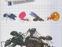 شگفتی های جهان :مورچه ها (سابین بوکادور.مهناز عسگری)
