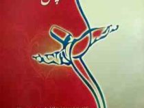 چهل قانون عشق (نگاهی به عشق و عاشقی شمس تبریزی و مولانا)، (الیف شافاک، مهرنوش عدالت)