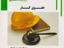 گنجینه ی طلایی حقوق کار ( رشته حقوق) (الهه عباسی مزرعه شاهی . سید عزت الله عراقی)
