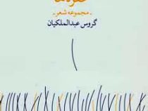 حفره ها (گروس عبدالملکیان)