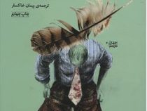 بیا با جغدها درباره ی دیابت تحقیق کنیم: جستارها و غیره