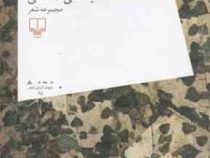 دختر ویولن زن در کوچه های برفی (مجموعه شعر)