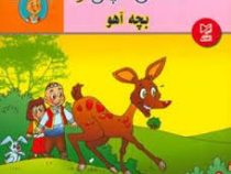 حسن کچل و بچه آهو