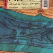 تکه چوب های پول ساز (حامد شاه سوندی)