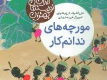 بهترین نویسندگان ایران : مورچه های ندانم کار