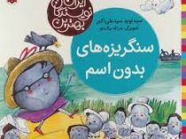 بهترین نویسندگان ایران: سنگریزه های بدون اسم (سید نوید سید علی اکبر)