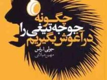 چگونه جوجه تیغی را در آغوش بگیریم (تو هرگز به حرف های من گوش نمی کنی گفتگو با نوجوانان در سال های حا