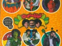 مجموعه ی فیتیله ای ها (اعظم مهدوی، سید نوید سید علی اکبری، مسعود ملک یاری، محمود برآبادی)