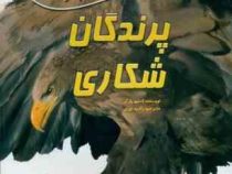 صد 100 حقیقت درباره ی پرندگان شکاری (استیو پارکر.راضیه نوری)