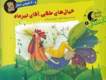 قصه های شب های تابستان : خیال های طلایی آقای تیر ماه و 30 قصه دیگر (مجید شفیعی)