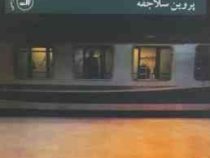برفابه ها (پروین سلاجقه)
