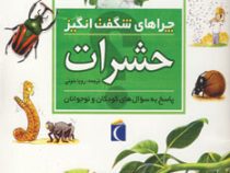 چراهای شگفت انگیز حشرات