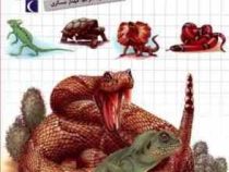 شگفتی های جهان :خزندگان (کتی فرانکو.مهناز عسگری)