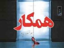 همکار (فریدا مک فادن . مریم علیزاده میلانلو)