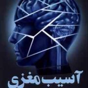 آسیب مغزی (فریدا مک فادن . مریم علیزاده میلانلو)