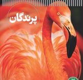 پرندگان (دیوید برنی.محمد رضا افضلی)