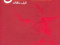 ملت عشق (شریعت عشق) (نازنین جباریان)
