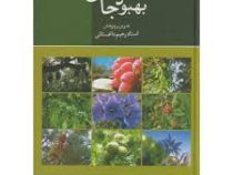 بهبود جان (رحیم داغستانی)