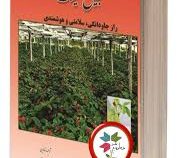 جین سینگ راز جاودانگی،سلامتی و هوشمندی (معصومه استکی و سعید دوازده امامی)