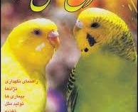 مرغ عشق استرالیایی (راهنمای نگهداری،نژادها،بیماری ها،تولید مثل،تغذیه) (دکتر مسعود هاشمی)