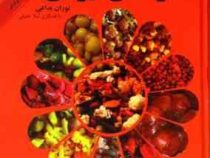 ترشی ایرانی (دستور تهیه انواع ترشی . شور . سرکه . رب .به همراه نکات و دانستنی های فراوان در رابطه با