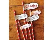 پروژه شادی (گریچن رابین . آرتمیس مسعودی)