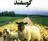 اصول کاربردی پرورش گوسفند (مهندس سعید حسینی)
