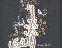 تفسیر مثنوی با مثنوی دوره 2 جلدی (علی محمدی)