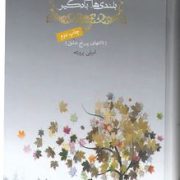 بلندی های بادگیر (تا انتهای پر رنج عشق)
