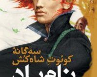 سه گانه کوئت شاه کش نام باد (کتاب اول جلد دوم)، (پاتریک راتفوس، مریم رفیعی)