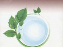 تقدیر را ترانه کن (فائزه حبابی)