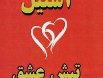 تپش عشق (دانیل استیل . شهناز مهدوی)