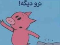 داستان های فیلی و فیگی: نرو دیگه ! (مو ویلمس، آناهیتا حضرتی)