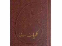 کلیات سعدی (جیبی 18×12 قاب کشویی چرم پارمیس)