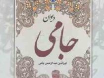 گزیده دیوان جامی (نورالدین عبدالرحمن جامی) قطع جیبی
