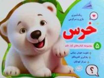 رنگ آمیزی بازی و سرگرمی آواز علم 5 خرس